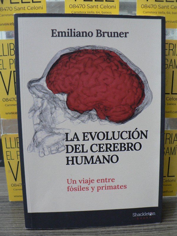 La evolución del cerebro humano: Un viaje entre fósiles y primates - Bruner - Shackleton Discovery