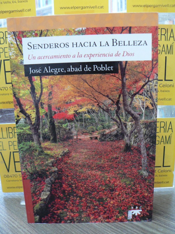 Senderos hacia la Belleza: Un acercamiento a la experiencia de Dios - Alegre Vilas - PPC EDITORIAL -